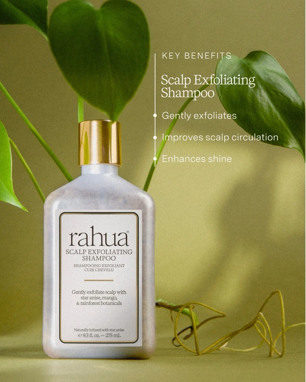 The Scalp Care bundle - Image 12